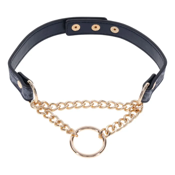 Sex & Mischief Cougar Day Collar - OSAS