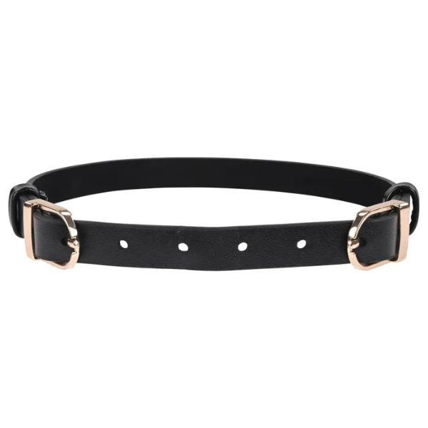 Sex & Mischief Double Buckle Day Collar - OSAS