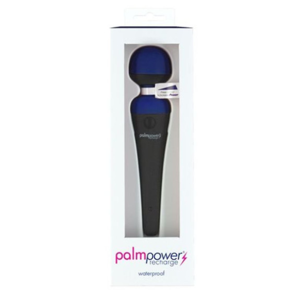 PalmPower Massage Wand Blue - OSAS