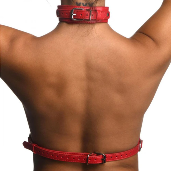 Red Female Chest Harness S/M - OSAS