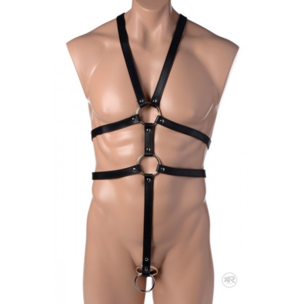 Male Full Body Harness - OSAS