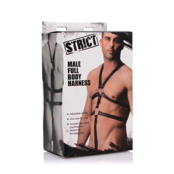 Male Full Body Harness - OSAS