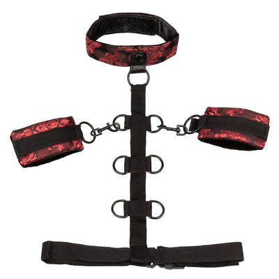 Scandal Collar Body Restraint Red - One Stop Adult Shop