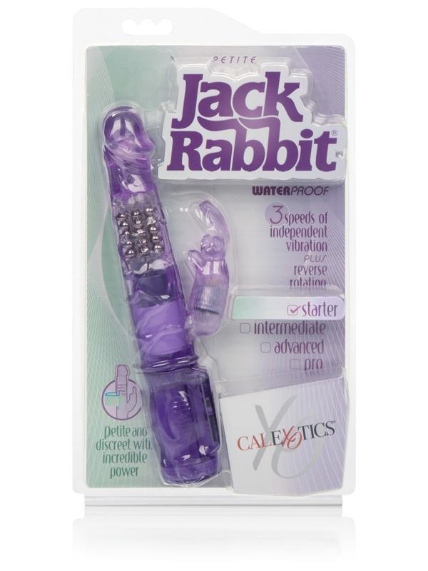 Petite Jack Rabbit Purple