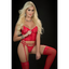 2 Pc Laced Corset Teddy with Zipper Front and Stockings - One Stop Adult Shop