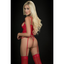 2 Pc Laced Corset Teddy with Zipper Front and Stockings - One Stop Adult Shop