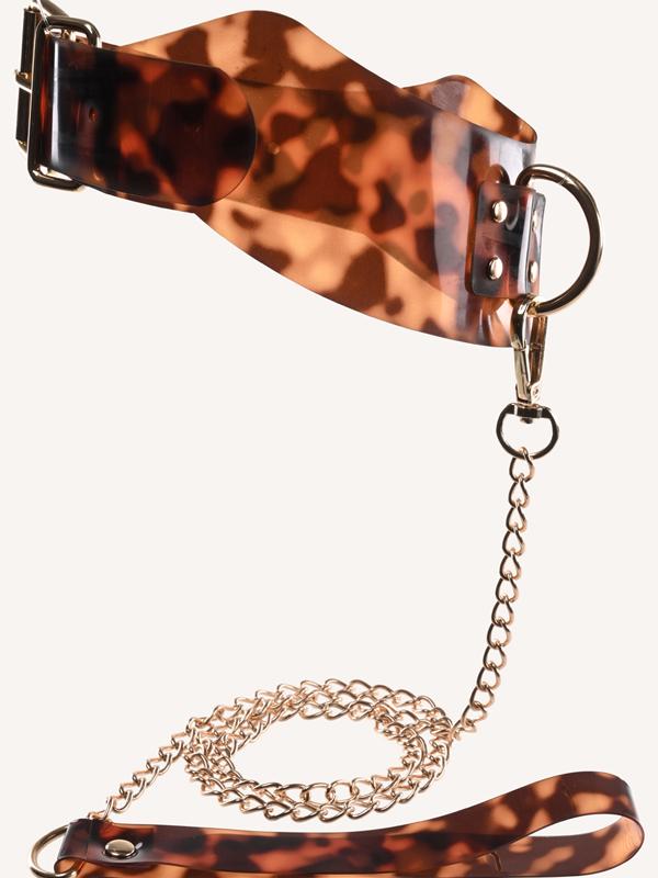 Amber Collar & Leash