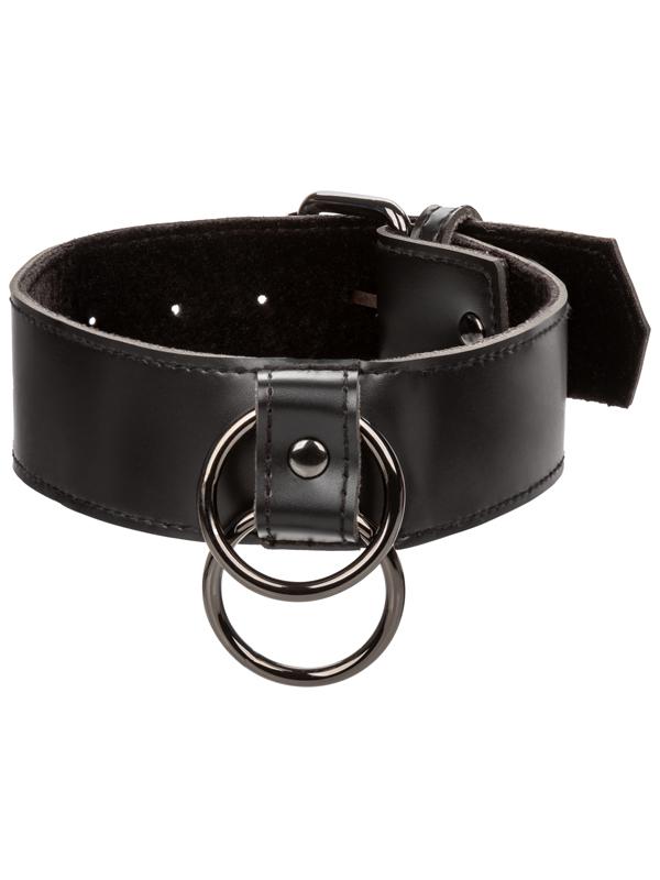 Euphoria Collection Collar w Chain Leash