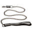 Euphoria Collection Collar w Chain Leash