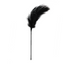 Feather Tickler Black - One Stop Adult Shop