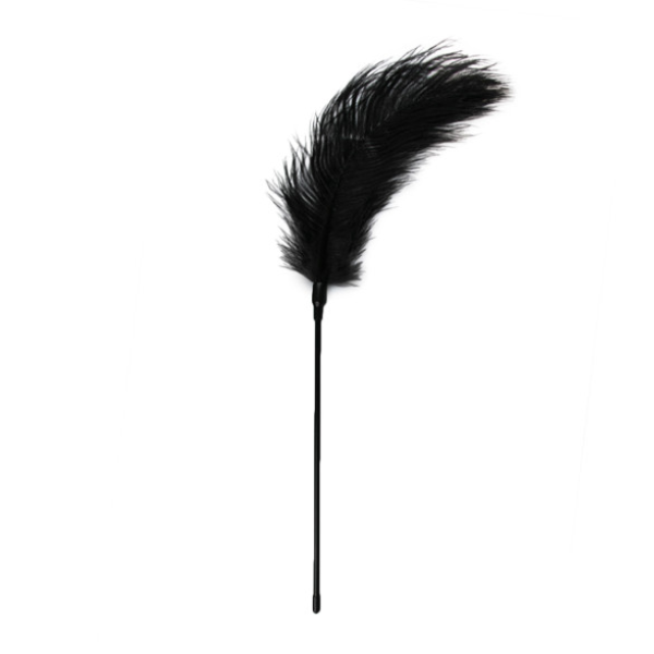 Feather Tickler Black - One Stop Adult Shop