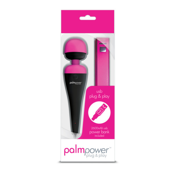 PalmPower Massage Wand Plug & Play USB - One Stop Adult Shop