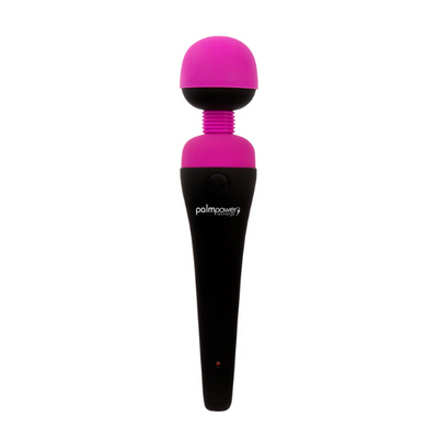 PalmPower Massage Wand Recharge Waterproof