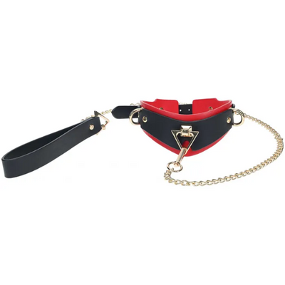 OUCH! Milan Collection Collar with Leash