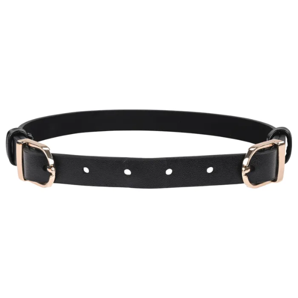 Sex & Mischief Double Buckle Day Collar