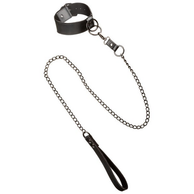 Euphoria Collection Collar w Chain Leash