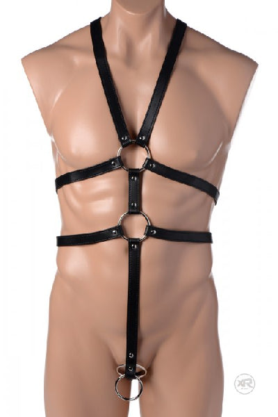 Male Full Body Harness - One Stop Adult Shop