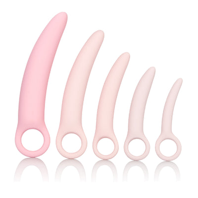 Inspire Silicone Dilator 5-Piece Set (Pink) - One Stop Adult Shop