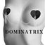 Dominatrix Nipplicious Pasties - One Stop Adult Shop